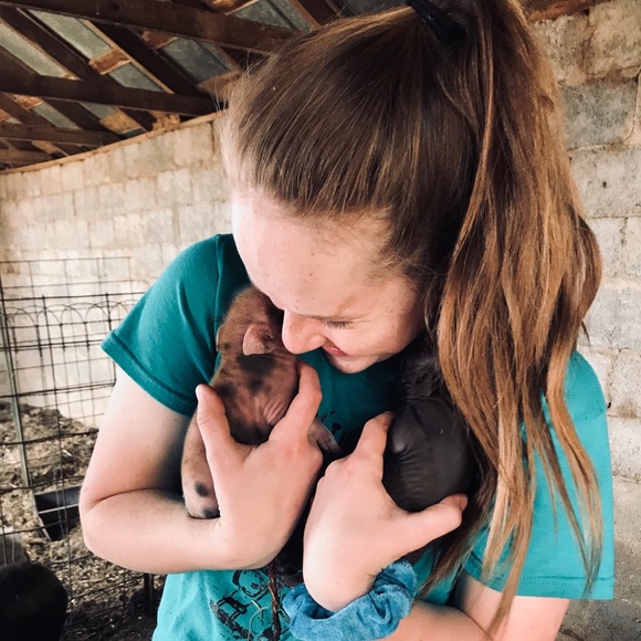 Meet your Posher, Emma - Picture 1 of 1